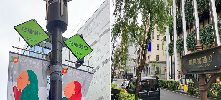 花椿通り・銀座柳通り